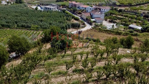Quinta T3 para Venda em Lamego (Almacave e Sé)