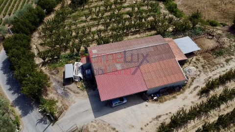 Quinta T3 para Venda em Lamego (Almacave e Sé)