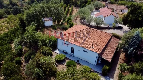 Quinta T3 para Venda em Lamego (Almacave e Sé)