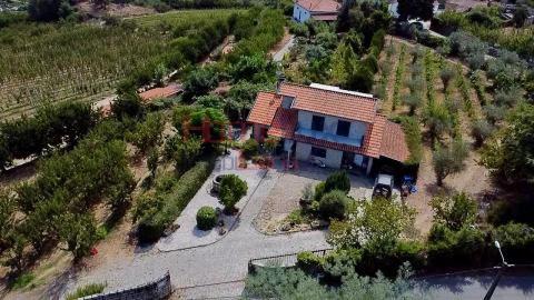 Quinta T3 para Venda em Lamego (Almacave e Sé)