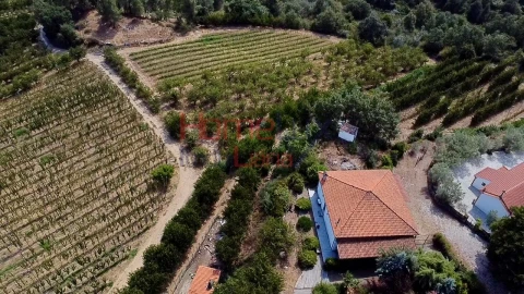 Quinta T3 para Venda em Lamego (Almacave e Sé)