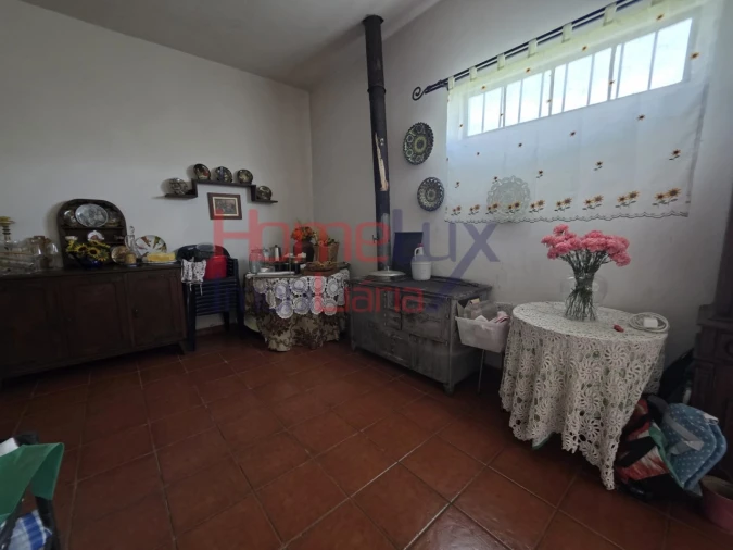 Quinta T3 para Venda em Lamego (Almacave e Sé) Foto 38