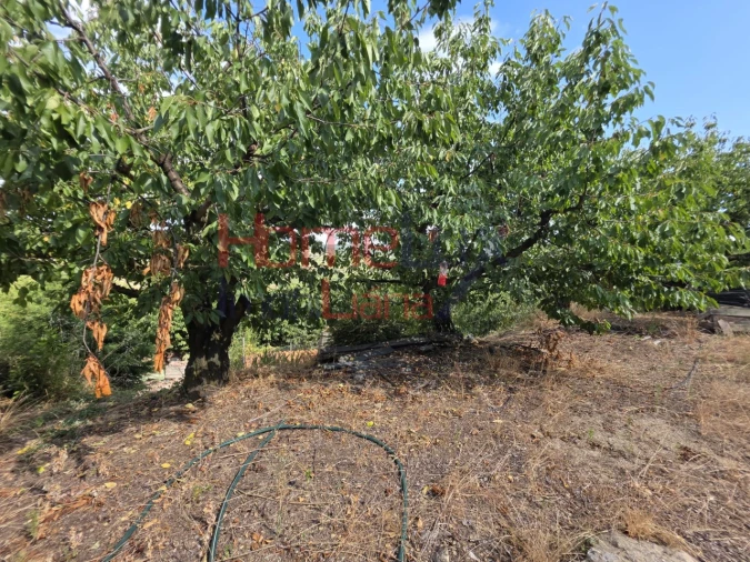 Quinta T3 para Venda em Lamego (Almacave e Sé) Foto 45