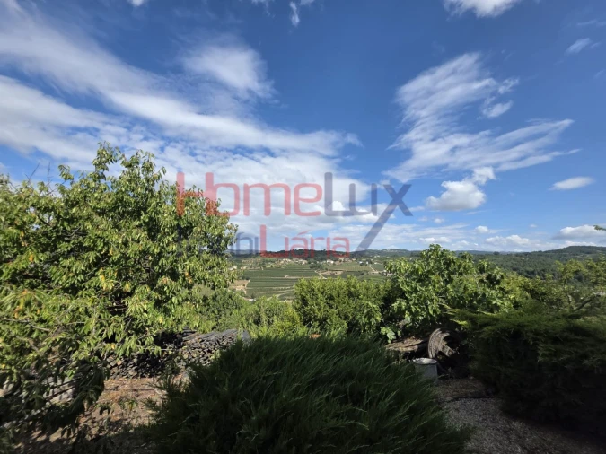 Quinta T3 para Venda em Lamego (Almacave e Sé) Foto 59
