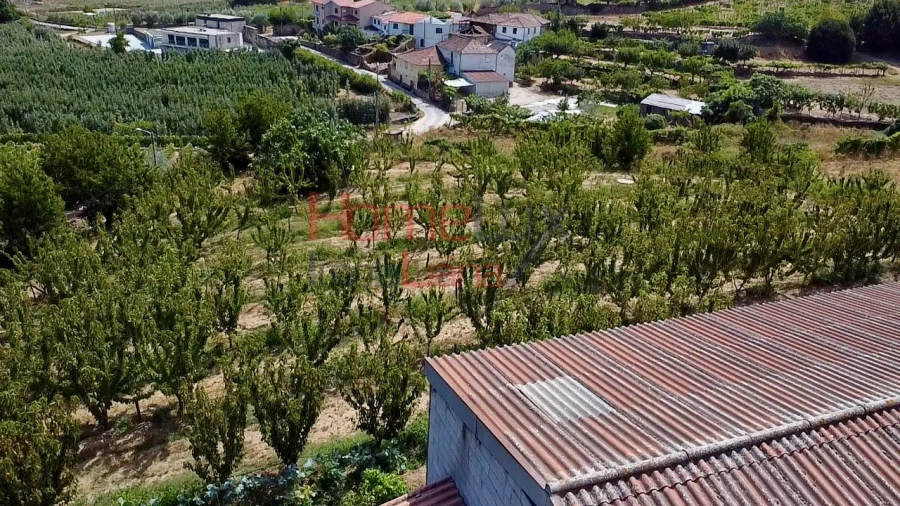 Quinta T3 para Venda em Lamego (Almacave e Sé) Foto 25
