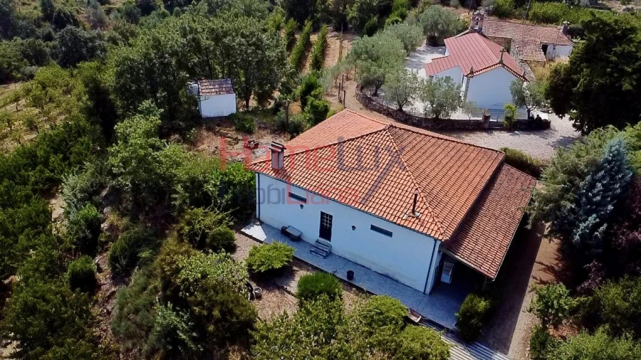 Quinta T3 para Venda em Lamego (Almacave e Sé) Foto 6