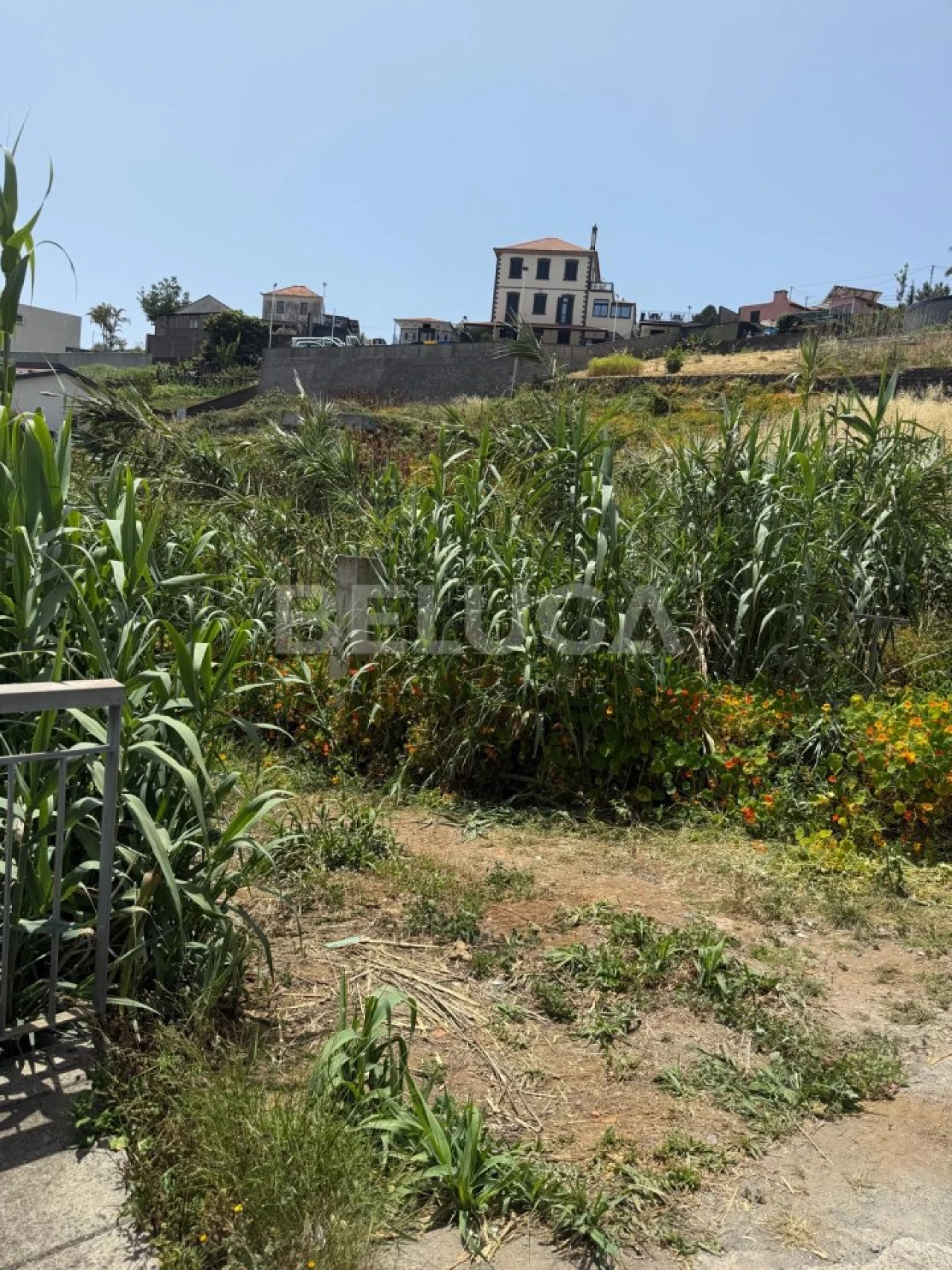 Terreno Misto para Venda em Santo Antonio Foto 10