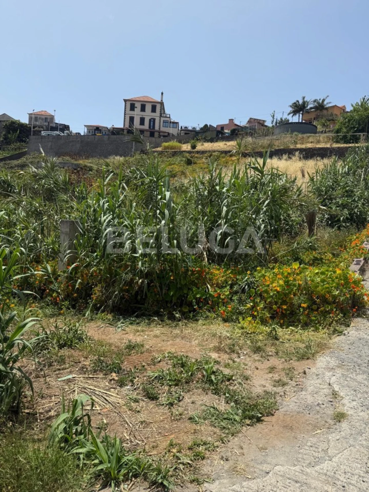 Terreno Misto para Venda em Santo Antonio Foto 11