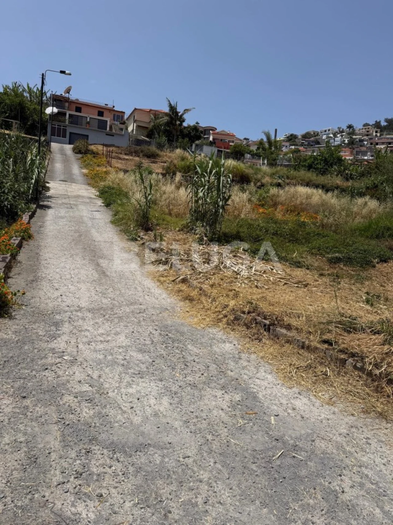 Terreno Misto para Venda em Santo Antonio Foto 14