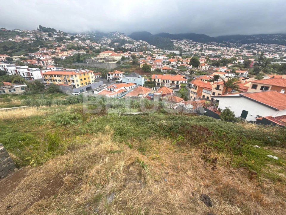 Terreno Misto para Venda em Santo Antonio Foto 8