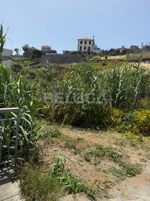 Terreno Misto para Venda em Santo Antonio