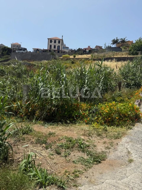 Terreno Misto para Venda em Santo Antonio