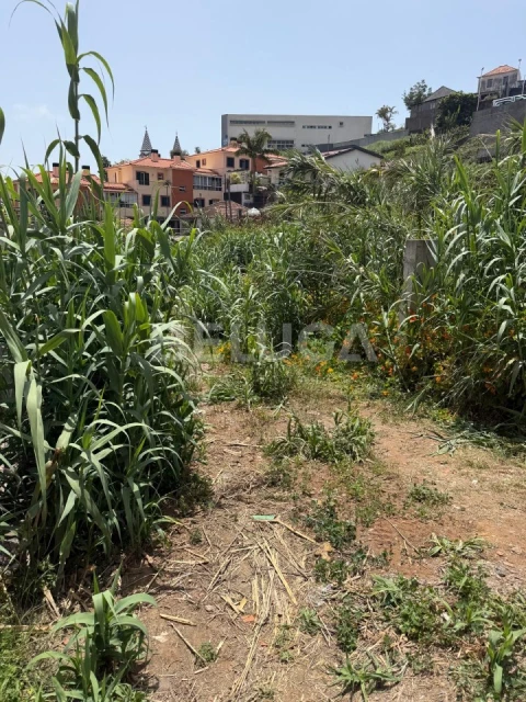 Terreno Misto para Venda em Santo Antonio