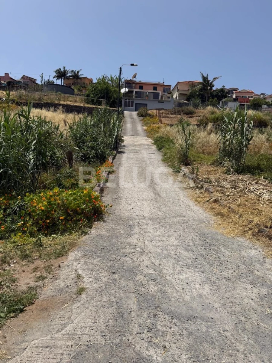 Terreno Misto para Venda em Santo Antonio Foto 12