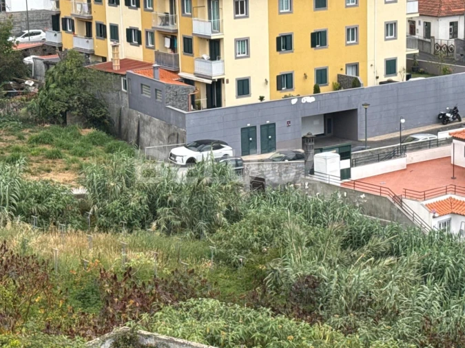 Terreno Misto para Venda em Santo Antonio Foto 4