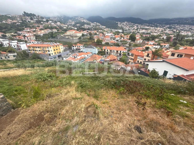 Terreno Misto para Venda em Santo Antonio Foto 7