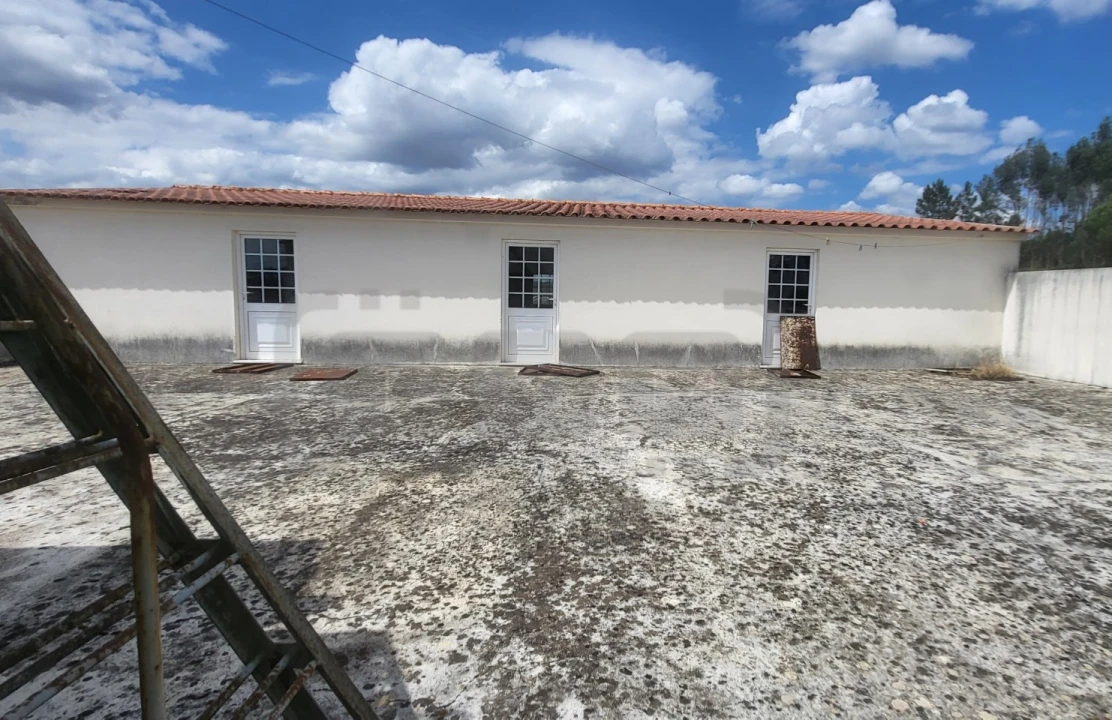 Moradia T4 para Venda em São Pedro de Tomar Foto 19