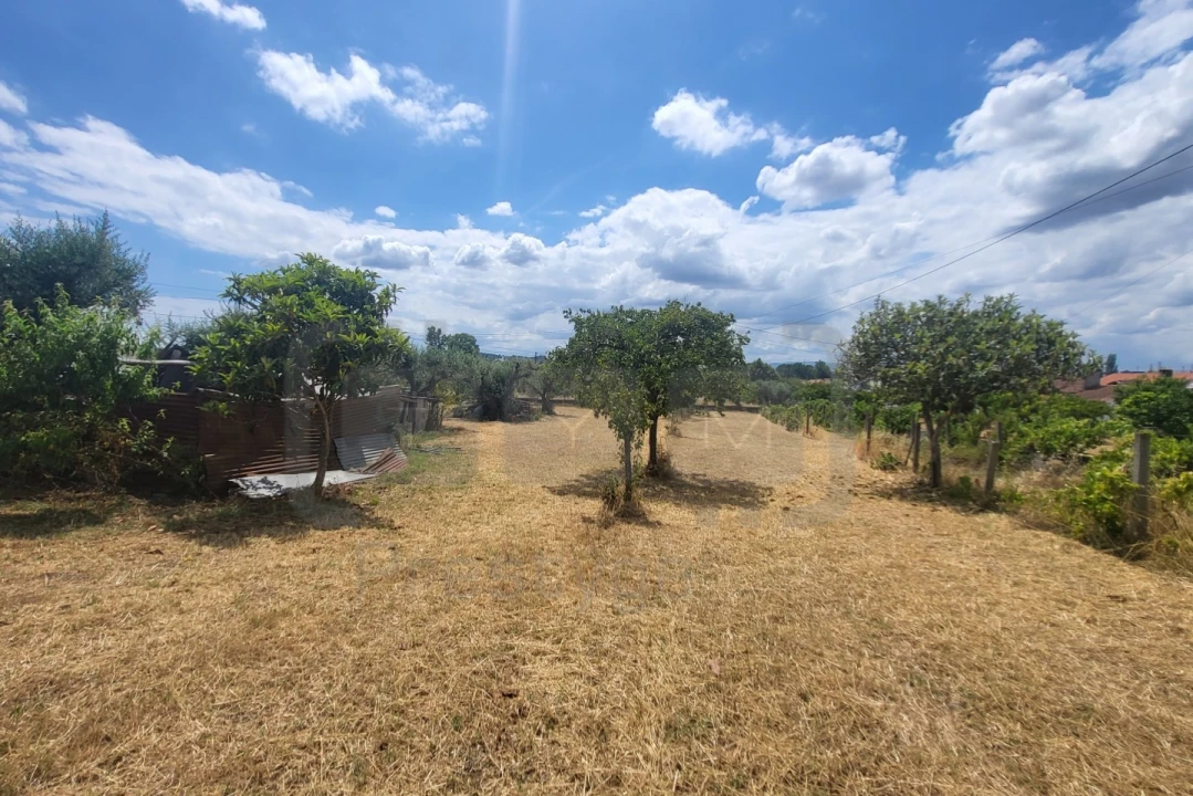 Moradia T4 para Venda em São Pedro de Tomar Foto 25