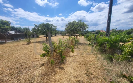 Moradia T4 para Venda em São Pedro de Tomar