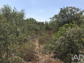Terreno para Venda em Chãos