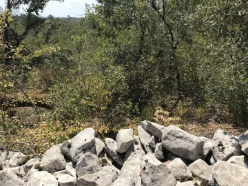 Terreno para Venda em Chãos