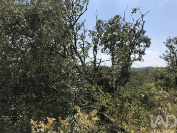 Terreno para Venda em Chãos