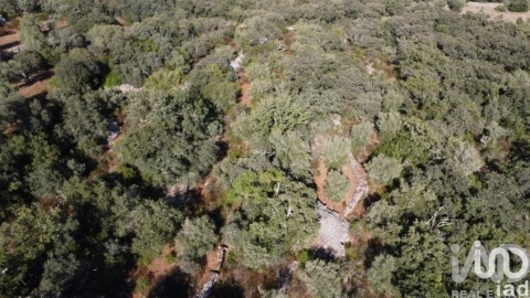 Terreno para Venda em Chãos