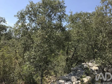 Terreno para Venda em Chãos