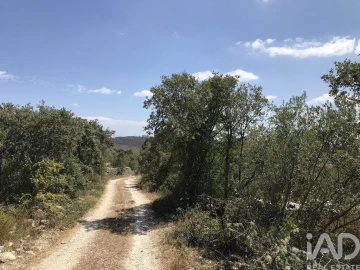 Terreno para Venda em Chãos