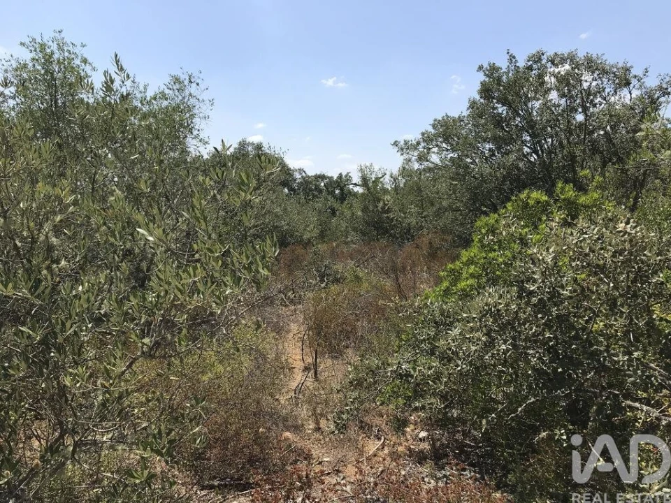 Terreno para Venda em Chãos Foto 9