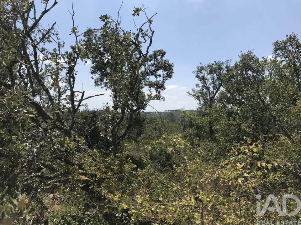 Terreno para Venda em Chãos Foto 8