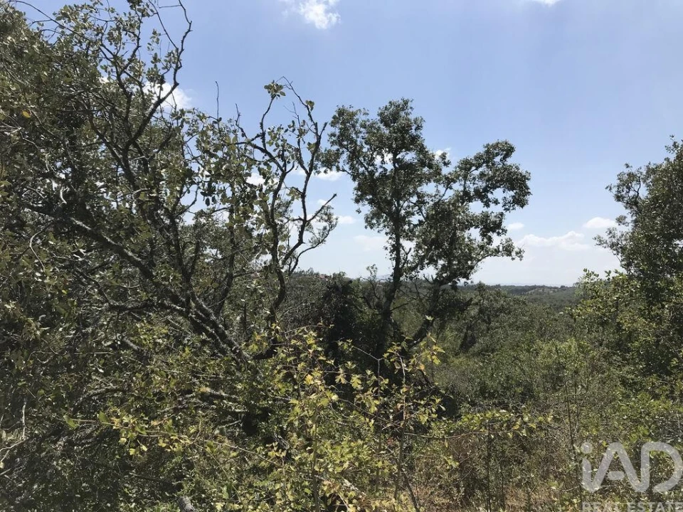 Terreno para Venda em Chãos Foto 6