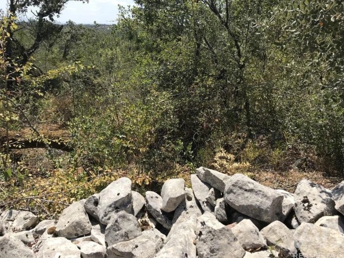 Terreno para Venda em Chãos Foto 3