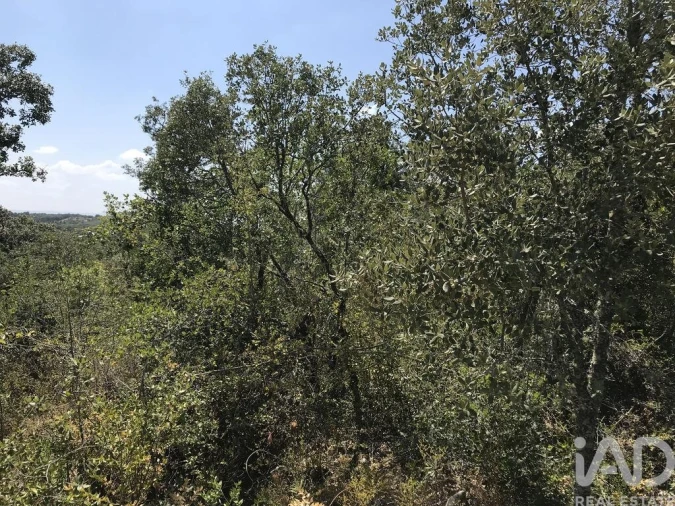 Terreno para Venda em Chãos Foto 14