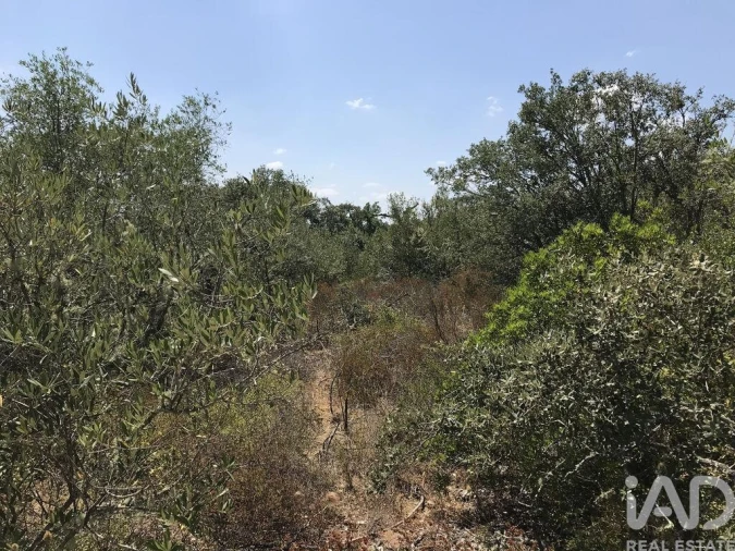 Terreno para Venda em Chãos Foto 10