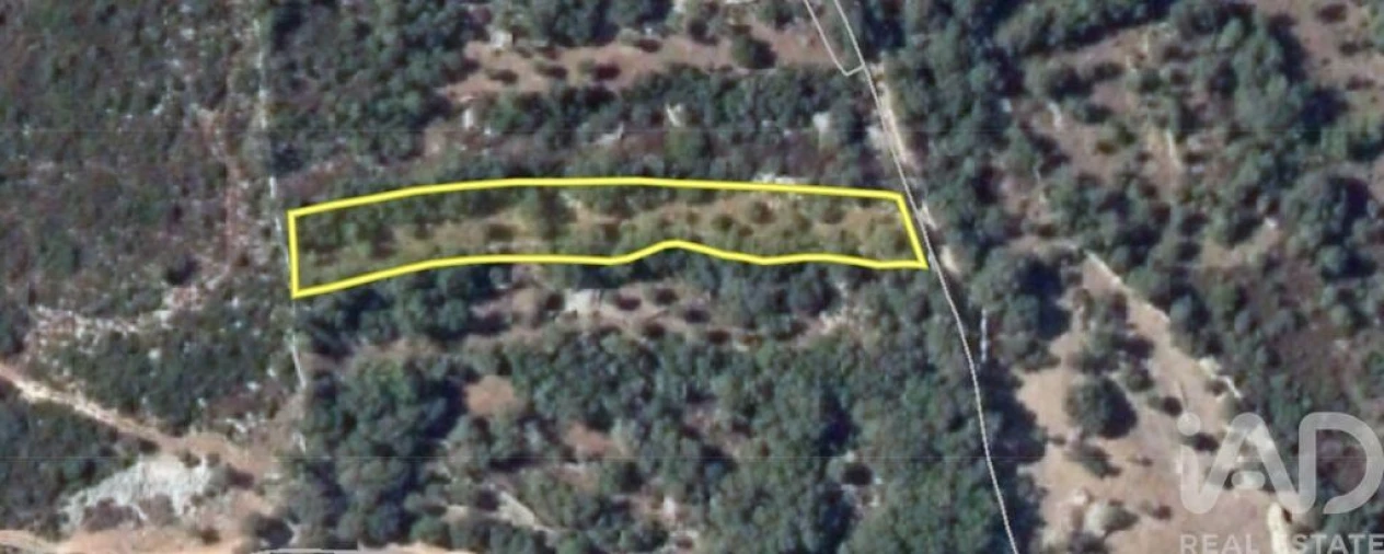 Terreno para Venda em Chãos Foto 14