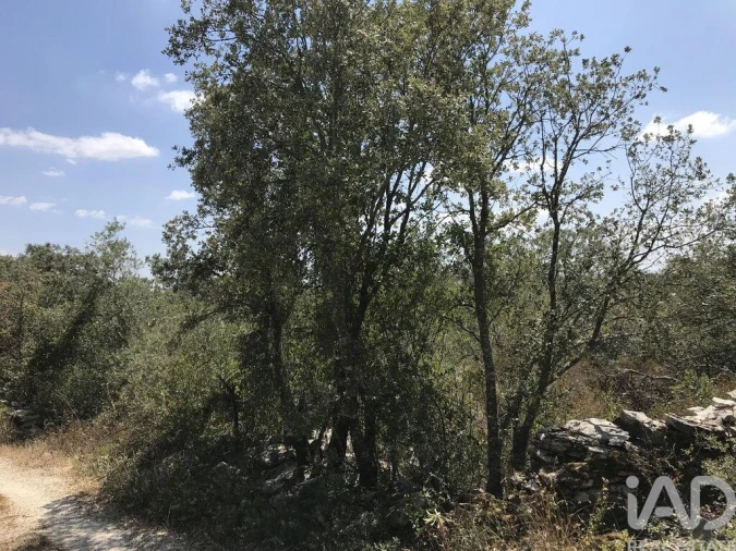 Terreno para Venda em Chãos Foto 5
