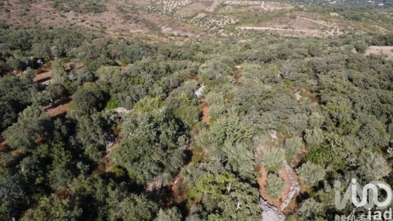 Terreno para Venda em Chãos Foto 12