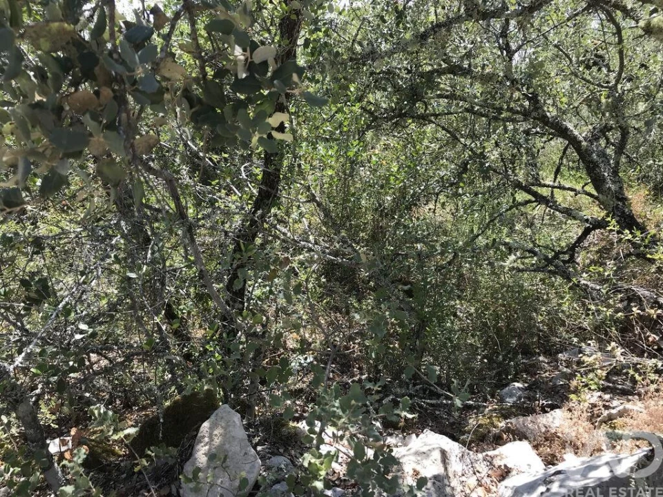 Terreno para Venda em Chãos Foto 12
