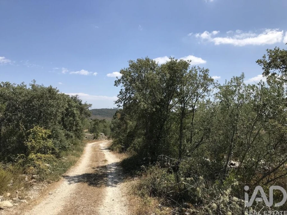 Terreno para Venda em Chãos Foto 7