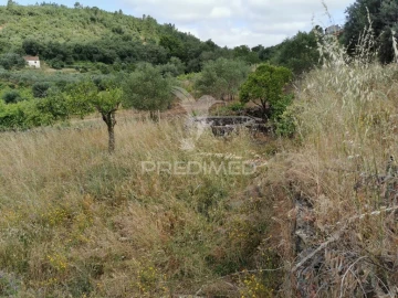 Moradia T3 para Venda em Chãos