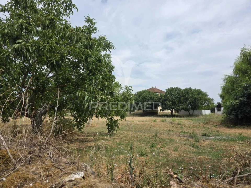 Quinta T6 para Venda em Torres Novas (Santa Maria, Salvador e Santiago) Foto 9