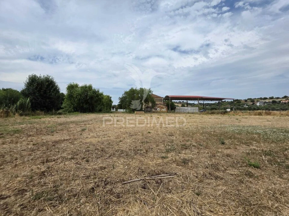 Quinta T6 para Venda em Torres Novas (Santa Maria, Salvador e Santiago) Foto 4