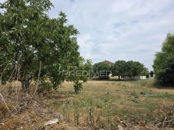 Quinta T6 para Venda em Torres Novas (Santa Maria, Salvador e Santiago)