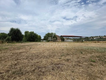 Quinta T6 para Venda em Torres Novas (Santa Maria, Salvador e Santiago)