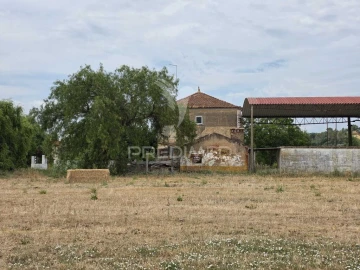 Quinta T6 para Venda em Torres Novas (Santa Maria, Salvador e Santiago)