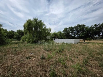 Quinta T6 para Venda em Torres Novas (Santa Maria, Salvador e Santiago)