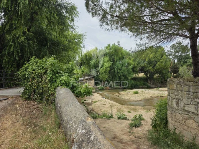 Quinta T6 para Venda em Torres Novas (Santa Maria, Salvador e Santiago) Foto 12