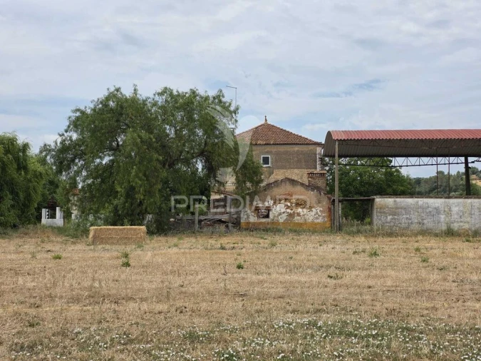 Quinta T6 para Venda em Torres Novas (Santa Maria, Salvador e Santiago) Foto 2