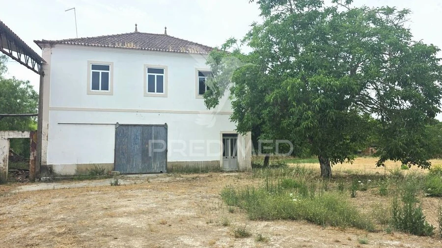 Quinta T6 para Venda em Torres Novas (Santa Maria, Salvador e Santiago)